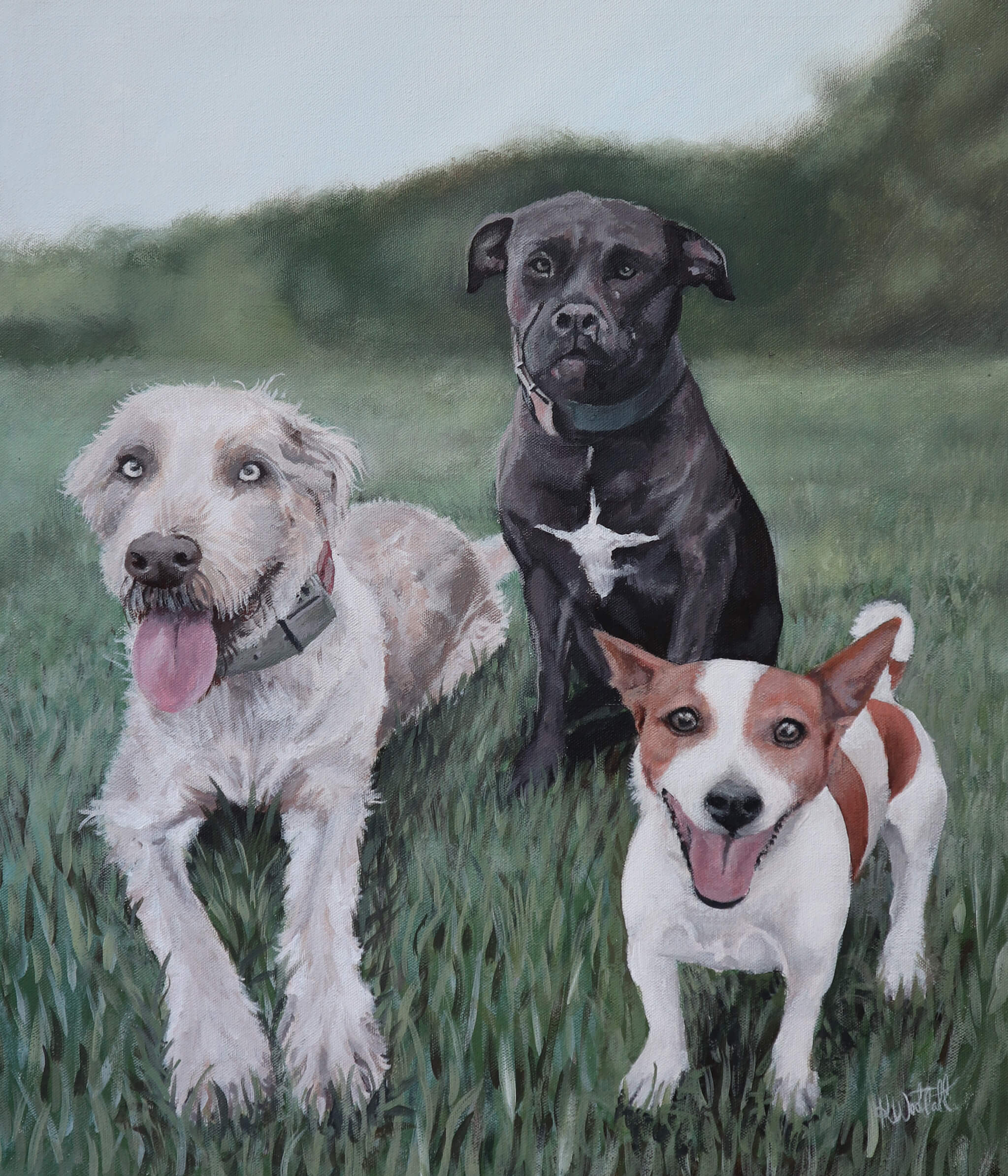 custom-pet-portraits-australia-dogs