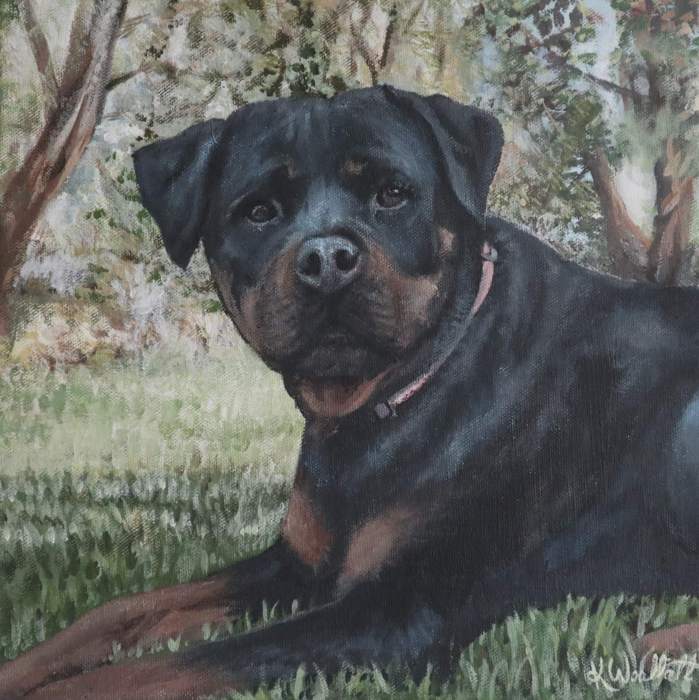 custom-pet-portraits-australia rotweiler